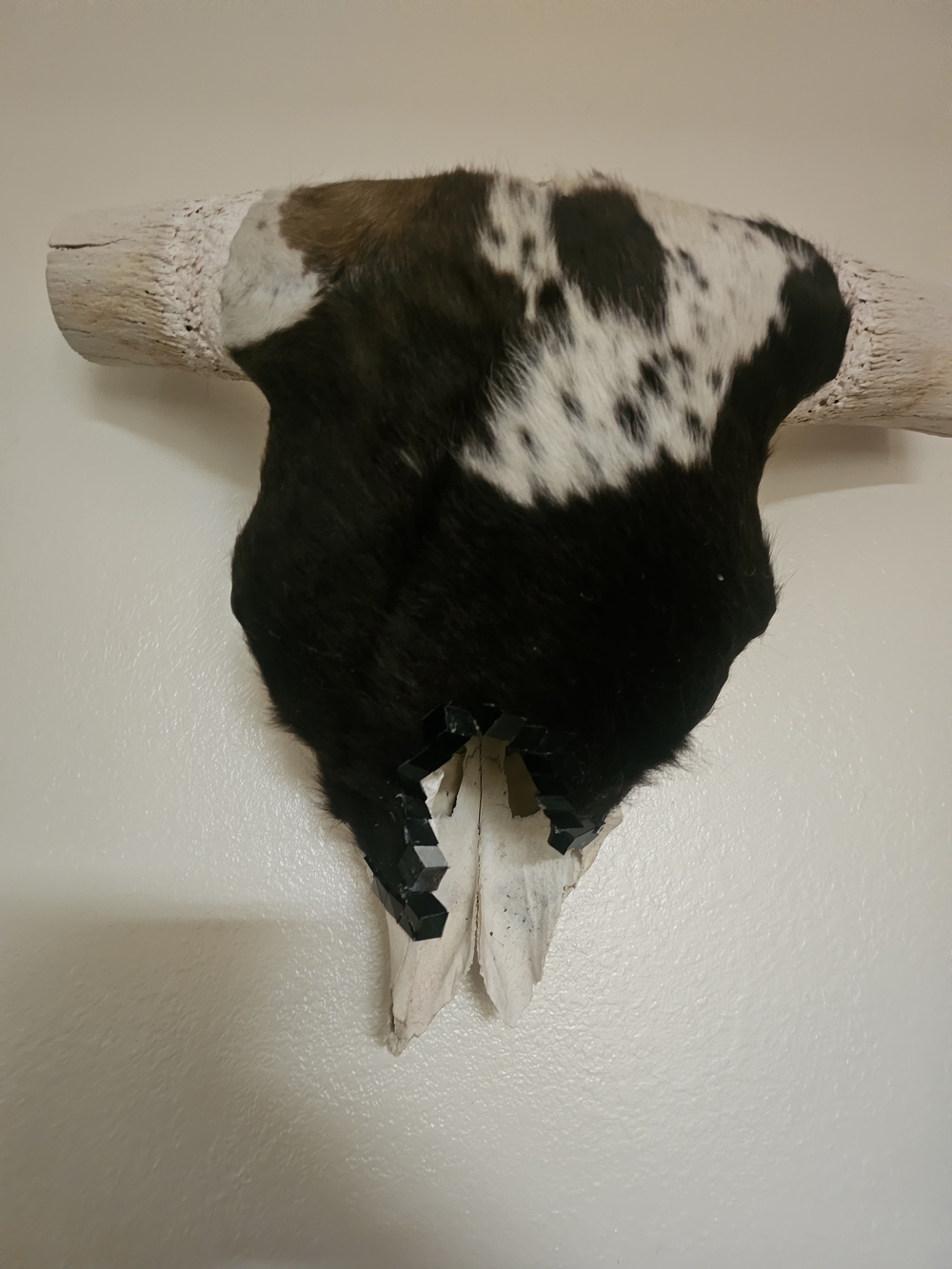 Rustic Black and White Cowhide Skull Wall Decor